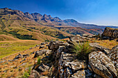 Felsblöcke am Giant´s Ridge mit Drakensberge im Hintergrund, Giant's Castle, Drakensberge, Kwa Zulu Natal,  Maloti-Drakensberg, Südafrika
