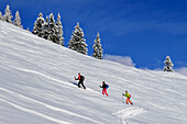 Drei Personen auf Skitour steigen zum Kleinen Gamsstein auf,  Hochfügen, Tuxer Alpen, Tirol, Österreich