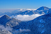 Verschneiter Wald und Wolkenstimmung mit Hochfelln im Hintergrund, vom Sulten, Chiemgauer Alpen, Oberbayern, Bayern, Deutschland