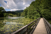 Holzsteg führt über Klostersee Höglwörther See zum Kloster Höglwörth, Gemeinde Anger, Berchtesgadener Land, Bayern, Deutschland, Europa