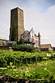 Blick auf Boosenburg mit der Villa der Weinkellerei Carl Jung, Rüdesheim am Rhein, Rheingau-Taunus-Kreis, Hessen, Deutschland, Europa