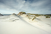 Sand dunes in Amrum, North Friesland, Schleswig-Holstein, Germany, Europe