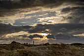 Dünenlandschaft mit Leuchtturm im Morgenlicht, Norderney, Ostfriesische Inseln, Niedersachsen, Deutschland, Europa