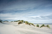 Sand dunes in Juist, East Frisian Islands, Lower Saxony, Germany, Europe