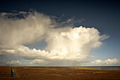 Storm cloud over salt marsh in Pellworm, North Friesland, Schleswig-Holstein, Germany, Europe