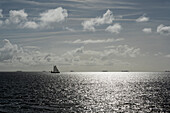 Wattenmeer mit Segelboot vor der Hallig Langeneß, Nordfriesland, Schleswig-Holstein, Deutschland, Europa