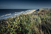 Baltrum beach, East Frisian Islands, Lower Saxony, Germany, Europe