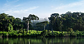 Panorama-Flussblicke, Dschungel, Rio Usumacinta, Frontera Corozal, Mexiko/Guatemala