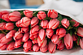 Noordwijk, the Netherlands, a bunch of tulips wrapped in paper for sale