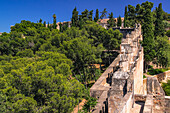 Die begehbaren Mauern und der Park mit Bäumen der Festung der Alcazaba de Antequera in Andalusien, Spanien