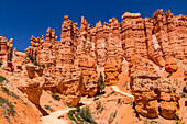 Stunning hiking trail in Queens Garden in Bryce Canyon with the well-known hoodoos, Utah, United States