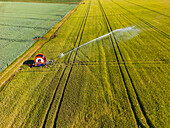 Beregnung mit einem Bewässerungssystem auf einem Getreidefeld im trockenen Sommer als Drohnenbild von oben