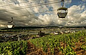 Cabins of the Rüdesheim cable car in the morning light, view over a vineyard to Boosenburg and the Asbach distillery, in the background the Rhine Valley near Bingen, Upper Middle Rhine Valley, Hesse and Rhineland-Palatinate, Germany