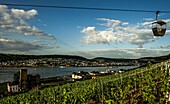 Seilbahn über dem Weinberg, Blick über die Boosenburg und die Weinkellerei Asbach auf Bingen am anderen Rheinufer, Rüdesheim, Oberes Mittelrheintal, Hessen und Rheinland-Pfalz, Deutschland