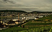 View from a Rüdesheim vineyard to the Asbach and Bingen wine distillery on the other bank of the Rhine, Upper Middle Rhine Valley, Hesse and Rhineland-Palatinate, Germany