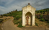 Devotional house with Pieta in the vineyard, in the background the Niederwald monument with the statue Germania and the Ramstein viewpoint, Rüdesheim, Upper Middle Rhine Valley, Rhineland-Palatinate, Germany