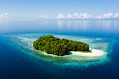 Tropische Insel in der Dampier Strait, Raja Ampat, West Papua, Indonesien