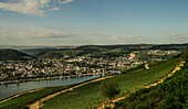 Blick über die Weinberge unter dem Niederwalddenkmal auf Bingen am Rhein und die Ausläufer des Hunsrücks, Welterbe Oberes Mittelrheintal, Hessen und Rheinland-Pfalz, Deutschland