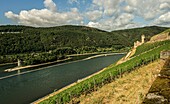Blick über die Weinberge bei Rüdesheim zur Burgruine Ehrenfels und zum Mäuseturm, Oberes Mittelrheintal, Hessen/Rheinland-Pfalz, Deutschland