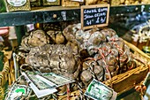 Sartene, sausage specialities, Lonzu, ham, shop, Corsica, France, Europe