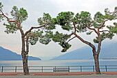 Seafront promenade, Domaso, Lake Como, Lombardy, Italy