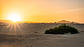 Correlejo, dunes, sunset, Parque Natural de las Dunas, Fuerteventura, Canary Islands, Spain
