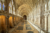 Kreuzgang mit Fächergewölbe der Kathedrale von Gloucester, England, Großbritannien, Europa 