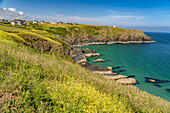 The coast at Housel Bay, Cornwall, England, Great Britain, Europe |