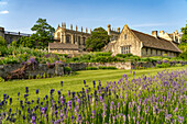 Christ Church College War Memorial Garden, Oxford, Oxfordshire, England, United Kingdom, Europe