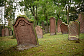 UNESCO Welterbe "SchUM Stätten", Mittelalterliche Grabsteine, Jüdischer Friedhof "Judensand", Mainz, Rheinland-Pfalz, Deutschland, Europa