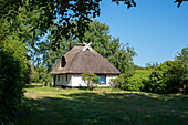 Hexenhaus, reetgedecktes Haus, ältestes Haus auf der Insel Hiddensee, Vitte, Mecklenburg-Vorpommern, Deutschland
