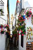 Cordoba, Spanien, Calle de Flores, Blumengasse, sehr berühmt, bei der Mesquita, Spanien