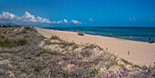 Dune beach of Oliva Nova, in early summer, one of the most beautiful on the Costa Blanca, Spain