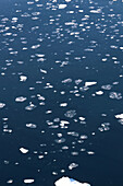 Antarktis; antarktische Halbinsel; auf dem Weg nach Yalour Island; vereinzelte Eisschollen