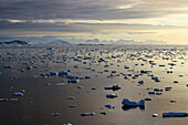 Antarktis; antarktische Halbinsel; Fahrt von Petermann Island Richtung Port Charcot; 