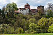 Burg Rieneck in der Stadt Rieneck im Sinntal, Landkreis Main-Spessart, Unterfranken, Franken, Bayern, Deutschland