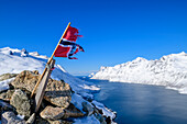 Norwegische Flagge am Gipfel des Nattmalsfjellet mit Ersfjord im Hintergrund, Nattmalsfjellet, Kvaloya, Troms og Finnmark, Norwegen