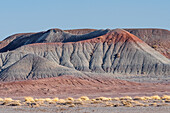 The landscape in Petrified Forest National Park in Arizona.