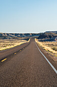 road leading out of the Petrified Forest National Park in Arizona.