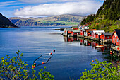 Norway, Vågsøy island, fjord idyll