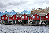 Norwegen, Lofoten, Hauptstadt Svolvær, Ausgangspunkt der Seeadlersafari in den Trollfjord