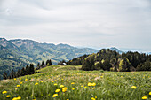 Frühling in den Allgäuer Alpen, Thalkirchdorf, Bayern, Deutschland