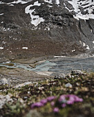 Gletscherfluss nahe der Franz-Senn-Hütte, Neustift im Stubaital, Tirol, Österreich
