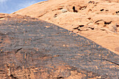 Ancient rock carvings in black rock. Valley of Fire