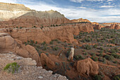 Blick ins Tal von Kodachrome State Park. Felswand auf der linken Seite, Utah, USA