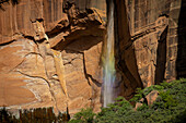 Kleiner Wasserfall vor roter Felswand wird von Sonne angestrahlt und leuchtet in Regenbogenfarben, Zion National Park, Utah, USA