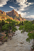 View of Virgin River and Mount Watchman illuminated by sun. Trees on the bank.