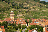 City view with Sainte-Croix church and vineyard in Kaysersberg, Alsace, France