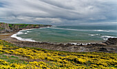 Großbritannien, Wales, Halbinsel Gower Peninsula, Rhossily, Bucht 'Fall Bay'