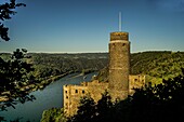 Blick vom Rheinsteig auf Burg Maus und das Rheintal, St. Goarshausen, Oberes Mittelrheintal, Rheinland-Pfalz, Deutschland